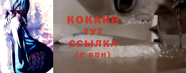 ГАЛЛЮЦИНОГЕННЫЕ ГРИБЫ Аркадак