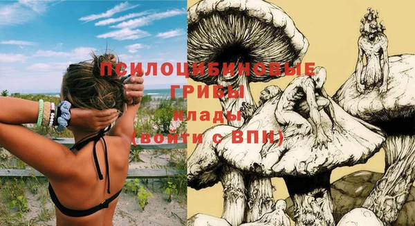 сатива Балабаново