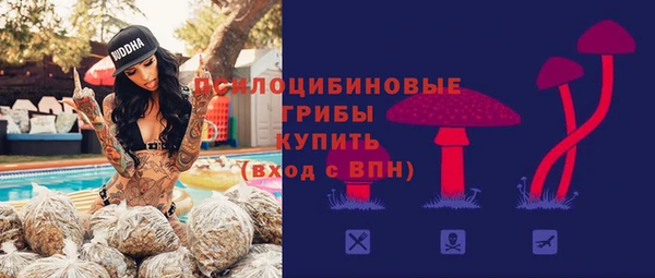 ГАЛЛЮЦИНОГЕННЫЕ ГРИБЫ Аркадак