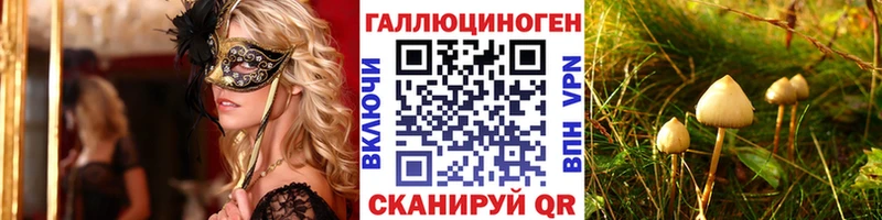 Псилоцибиновые грибы мухоморы  omg ONION  Пыталово  магазин продажи  